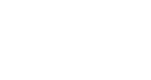 The Carter Center