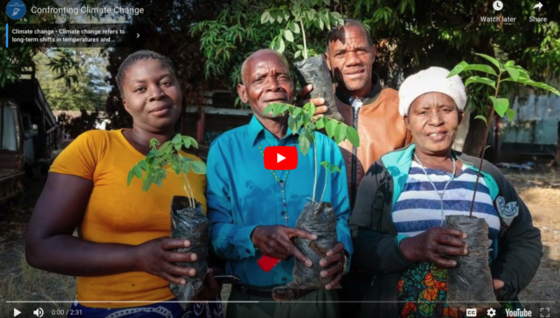 Four People holding baby trees